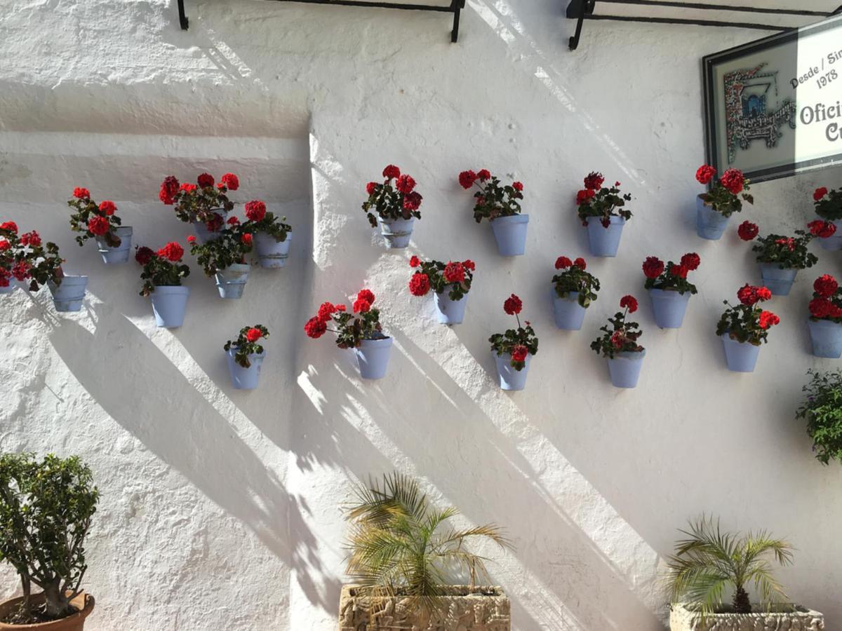 Apartament Paris Dream - Torremolinos Zewnętrze zdjęcie